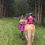 Appartement Ferienraich Arzl im Pitztal