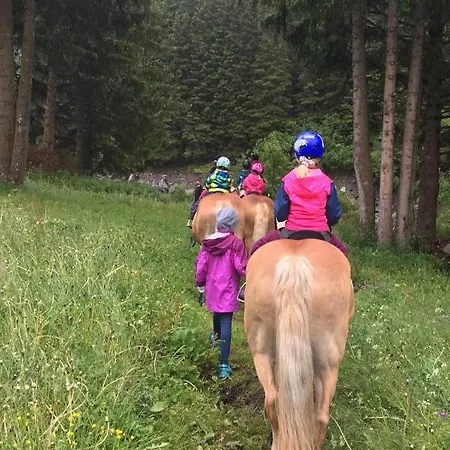 Apartment Apart Ferienraich Arzl im Pitztal